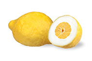 cedro