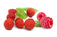 fragola di bosco e lampone