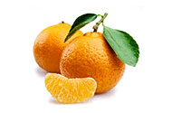 mandarino