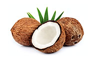 cocco